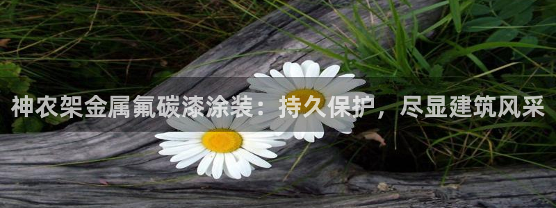 美高梅的狮子是纯金的吗