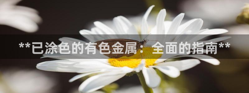 美高梅酒店招聘信息