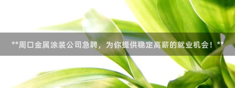 美高梅会员卡在哪里办