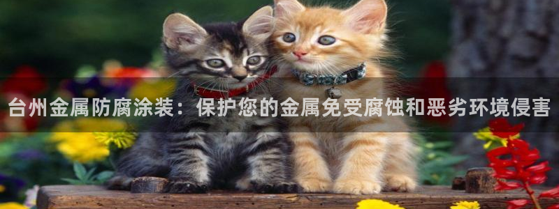 美高梅卡颜色等级