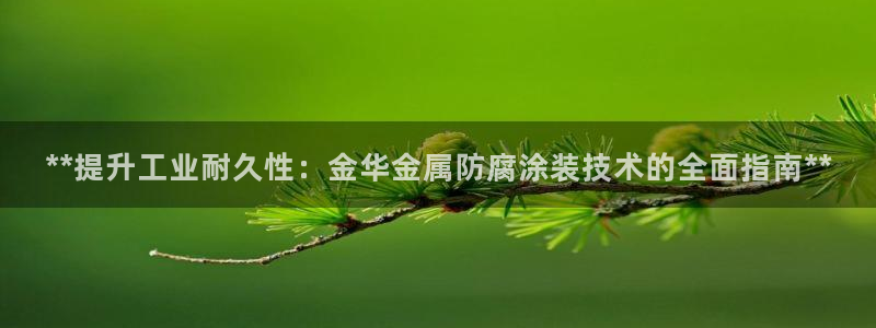 澳门的美高梅酒店外观视频