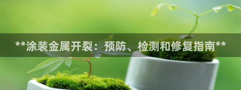 美高梅度假酒店会员卡