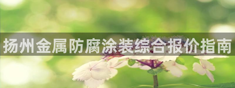 美高梅酒店老板