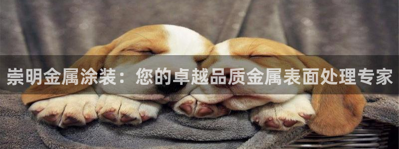 美高梅创始人是谁