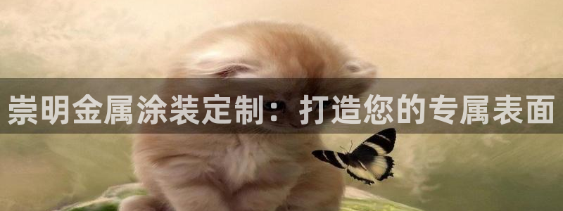 美狮美高梅酒店贵还是摩泊斯贵