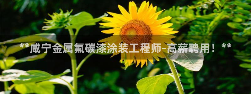 美高梅酒店门口狮子