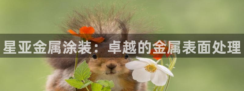 美高梅官网手机版下载