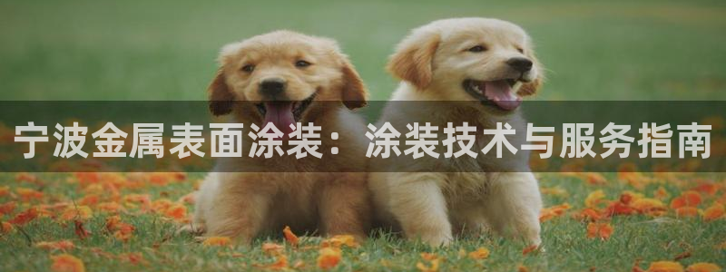 美高梅是做什么的品牌