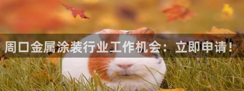 美高梅旗下