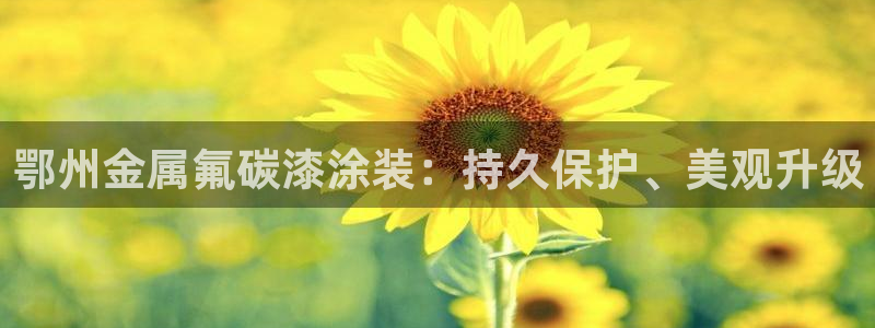 美高梅别墅户型图
