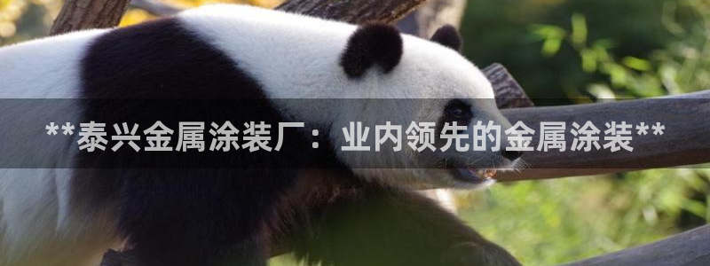 美高梅附近有哪些酒店