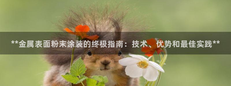 美高梅客服微信