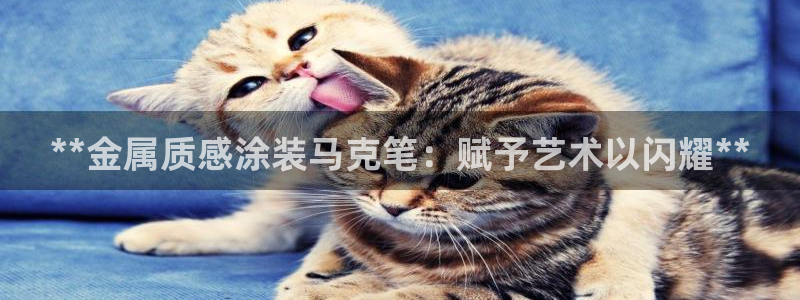 美高梅偶遇何超琼