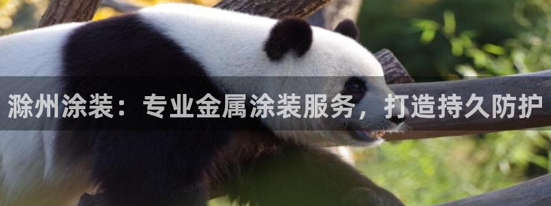 美狮美高梅酒店港澳快线