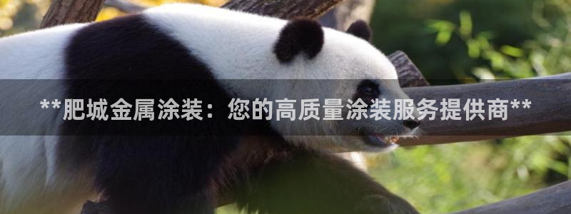 美高梅酒店集团是哪个国家的