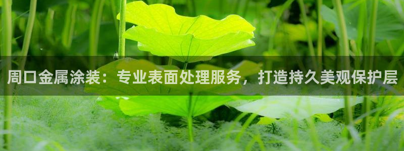 美高梅酒店股票