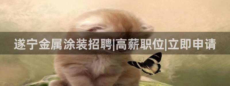 美高梅外套多少钱一件