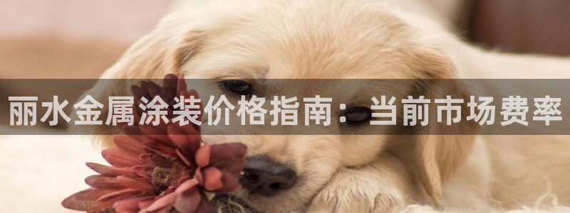 美高梅年卡