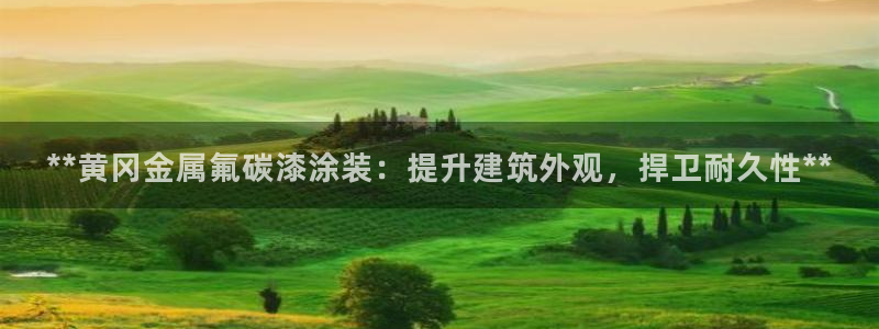 美狮美高梅酒店积分