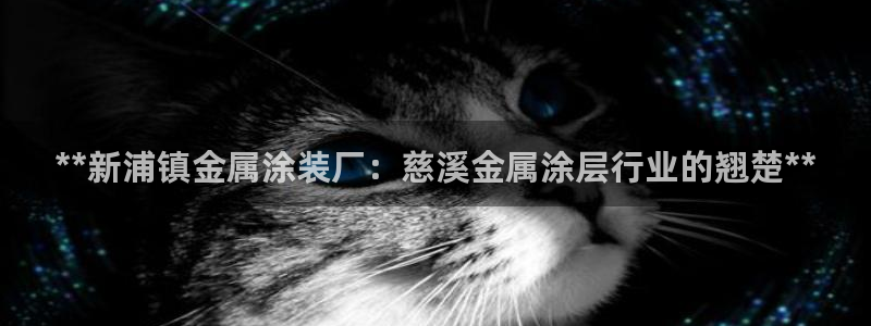 美高梅全球限量100张