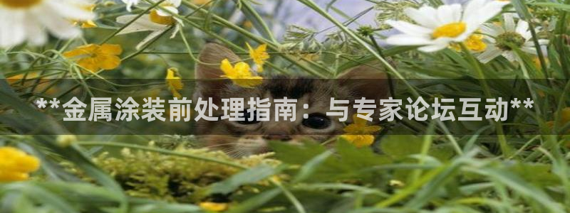 美高梅直营高