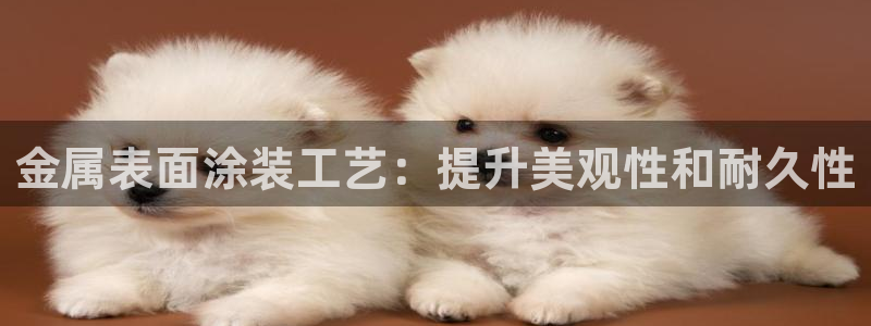 美高梅酒店图片