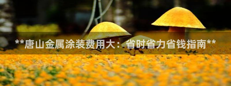 美高梅外套多少钱一件