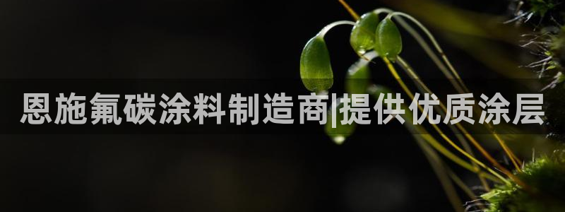 美高梅客服微信