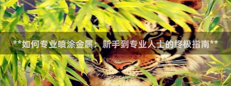 美高梅润肤露价格