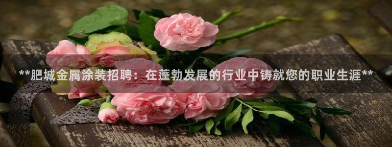 美高梅酒店小梅沙