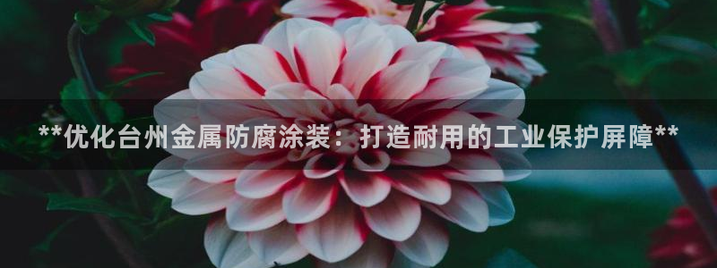美狮美高梅酒店积分换房