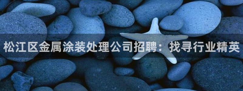 美高梅直营高