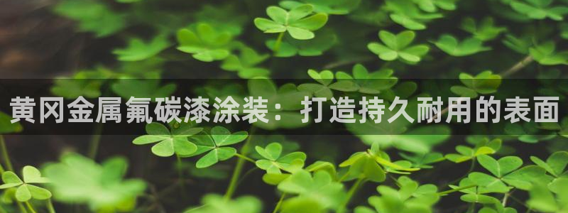 美高梅mgm集团4688打不开