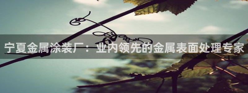 美狮美高梅酒店狮子