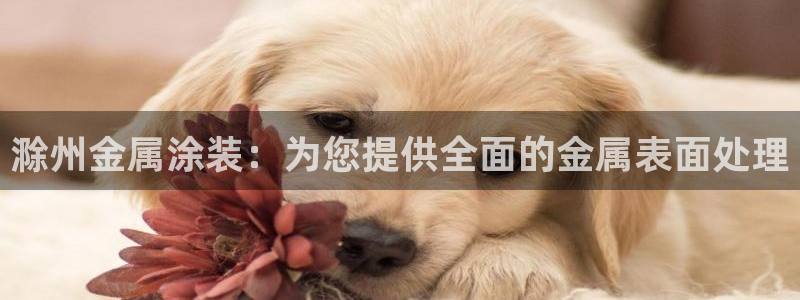 美高梅酒店外观图片
