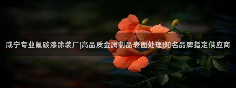 美高梅二手房