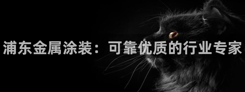 鲁能钓鱼台美高梅公馆别墅