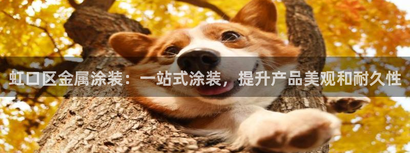 美高梅会员卡级别介绍