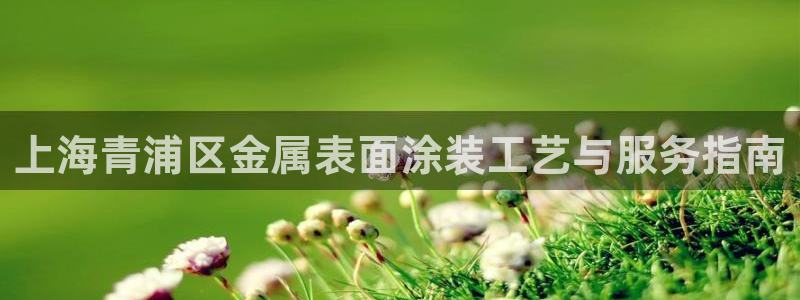 美高梅里的钱冻结了怎么办