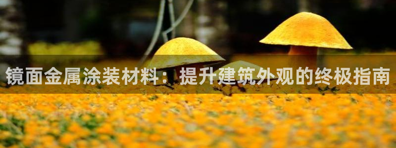 美高梅酒店到南海观音