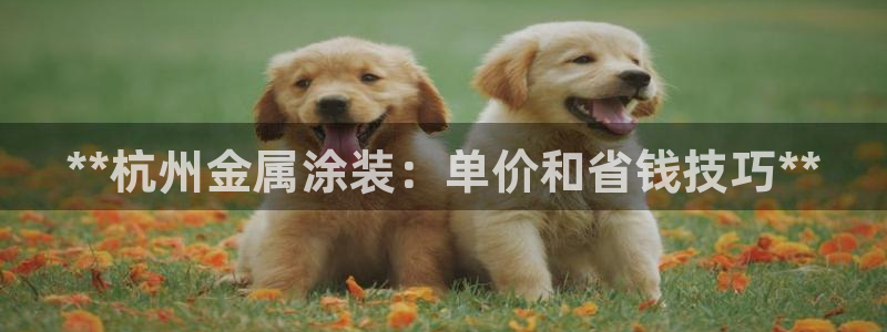 美高梅mgm集团4688打不开