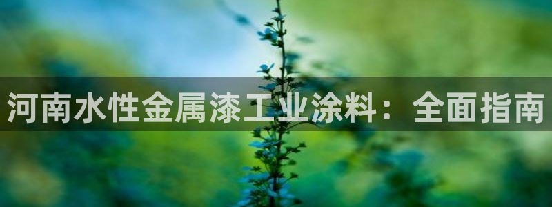 美高梅招聘官网