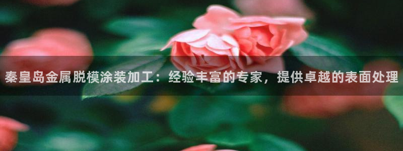 美高梅儿童早餐多钱