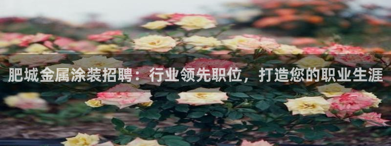 美高梅别墅户型图