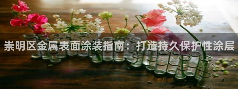 美高梅怎么打不开了