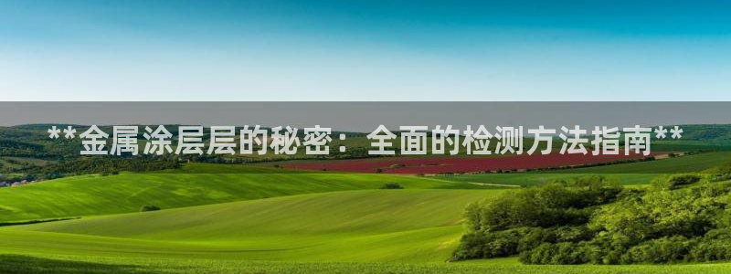 美狮美高梅酒店开业