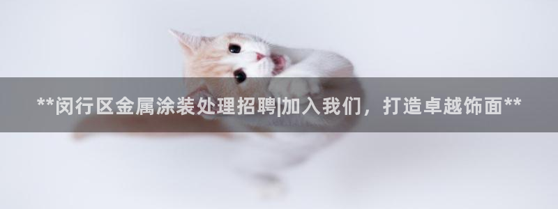 美高梅冯小峰简介