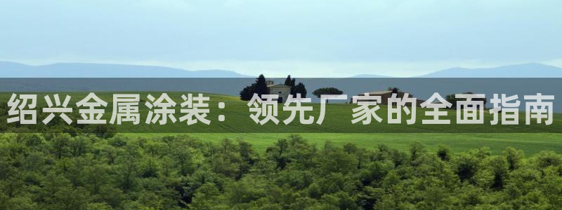 美高梅大酒店自助