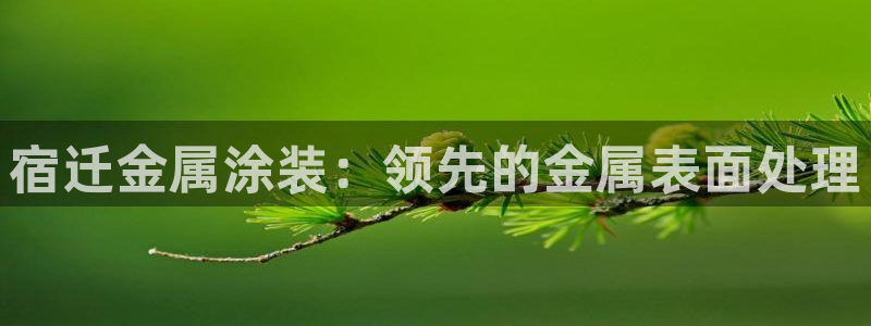 美高梅大酒店招聘