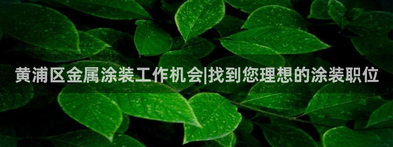美高梅公司老板是谁